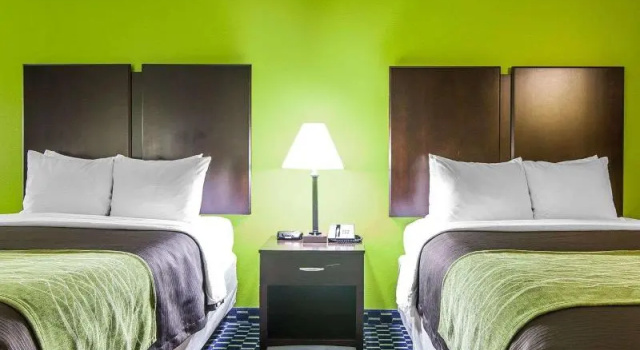 Четырёхместный номер Standard Comfort Inn Athens I - 75
