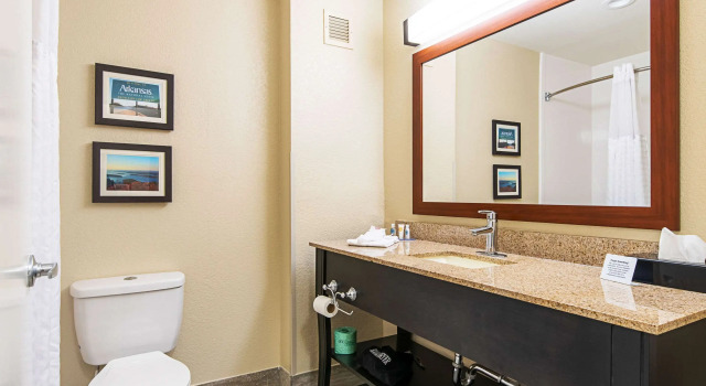 Двухместный люкс Comfort Inn & Suites Pine Bluff