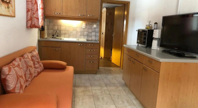 Апартаменты c 1 комнатой Ferienhaus Kathrili Gaschurn