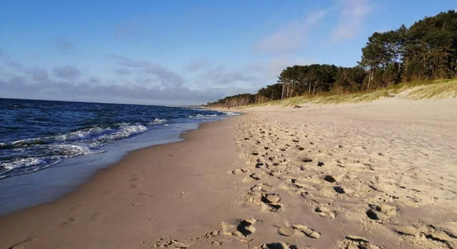 Апартаменты Enklawa Mielno apartamenty przy plaży