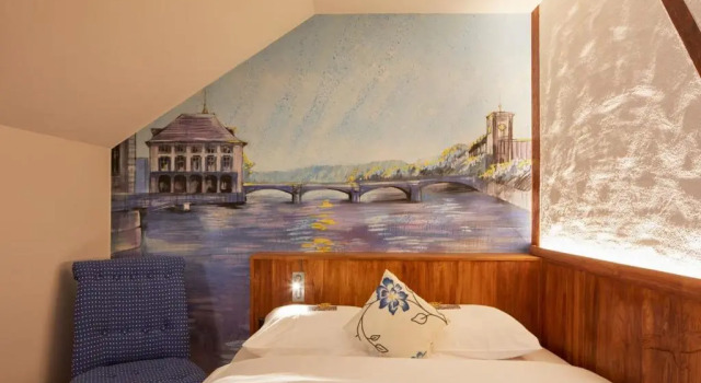Одноместный номер Superior Hotel Adler Zürich