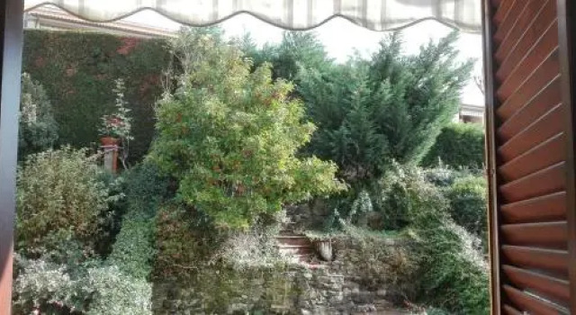 Gli Oleandri di Belfiore