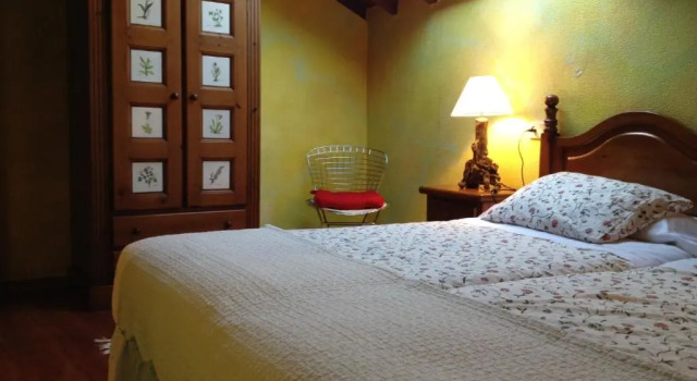 Двухместный номер Economy Hotel Peñalba