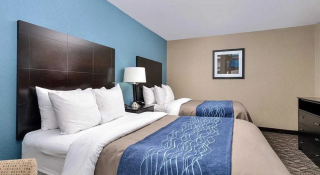 Standard- værelse Comfort Inn & Suites Springfield I-55