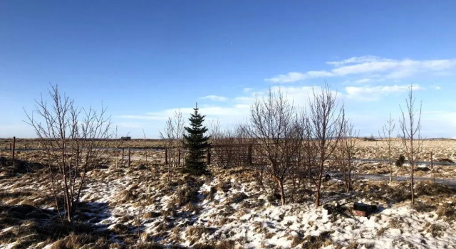 Коттедж Fögruvallakot Cabin