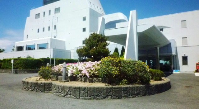 Номер Standard KAMENOI HOTEL Awajishima