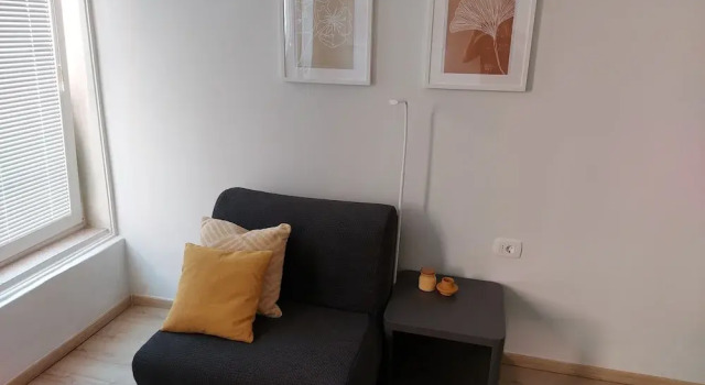 Dandylion Studio Apartment