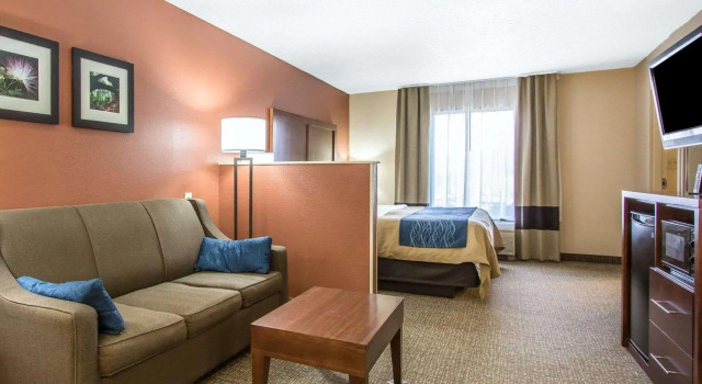 Двухместный люкс Comfort Inn Livingston