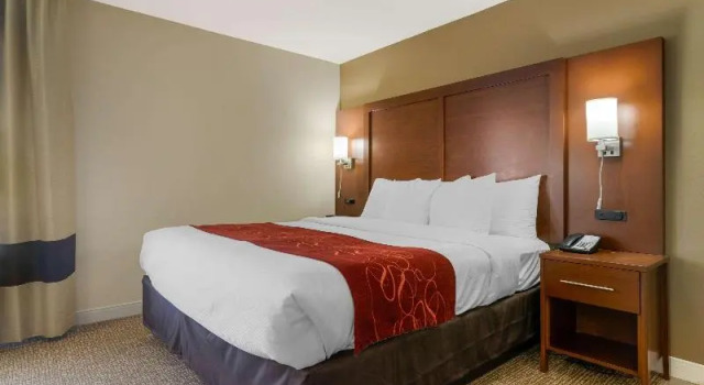 Люкс Standard Comfort Inn & Suites Macon West