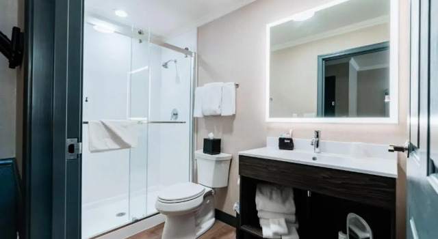 Четырёхместный номер Standard Hotel NoBo Cascade, Tapestry Collection by Hilton