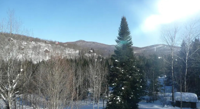 Кровать в общем номере Chalets et Studios Le Vent Du Nord