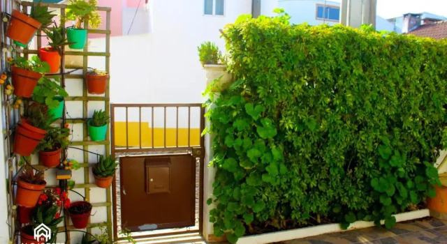 Hillhouse, Rezervovat Hotel Hotely v Oeste s parkováním, Parkování