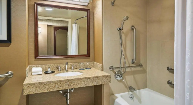 Номер Standard с видом на город Отель Wyndham Denver Tech Center