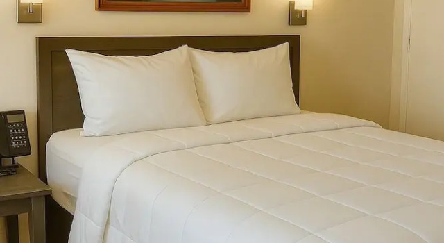Номер Standard Studio 6 Suites Belton, TX