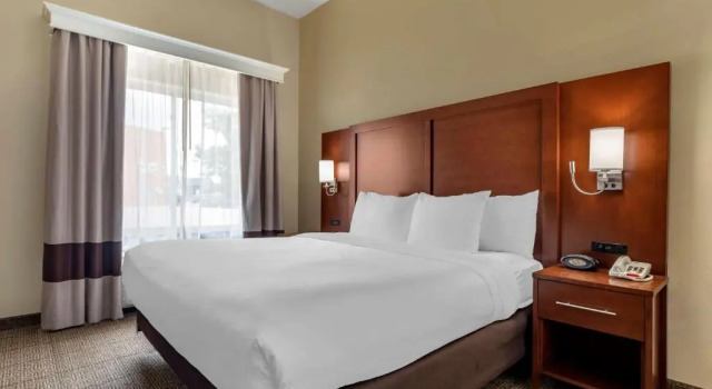Двухместный люкс Comfort Suites West Dallas - Cockrell Hill