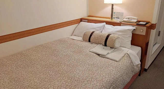 Номер Economy Ace Inn Kariya