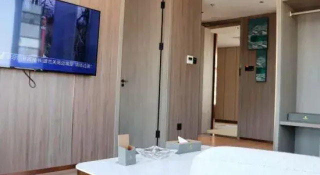 Люкс Deluxe Junle International Hotel