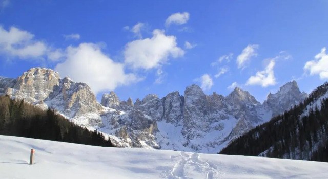 Апартаменты Casa Fiemme Panchià