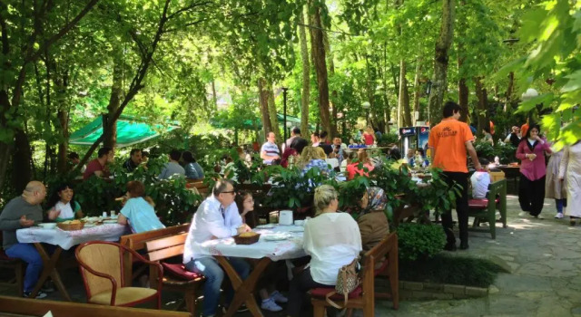 Номер Standard Yazicilar Hotel & Restaurant