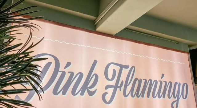 Pink Flamingo Boutique Hostel, Book Hostel The Hague City Centre 