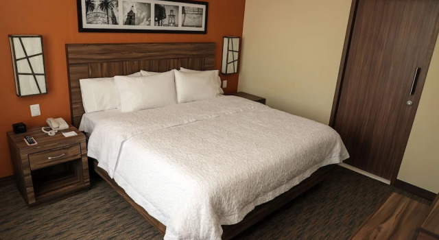 Двухместный люкс Hampton Inn by Hilton Irapuato