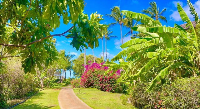 Номер Standard Kauai Kahala At Poipu Kai 211 2 Bedroom Condo