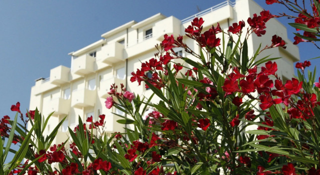 Hotel Sport & Residenza, Забронировать Отель Отели Чезенатико 4 звезды, 4*