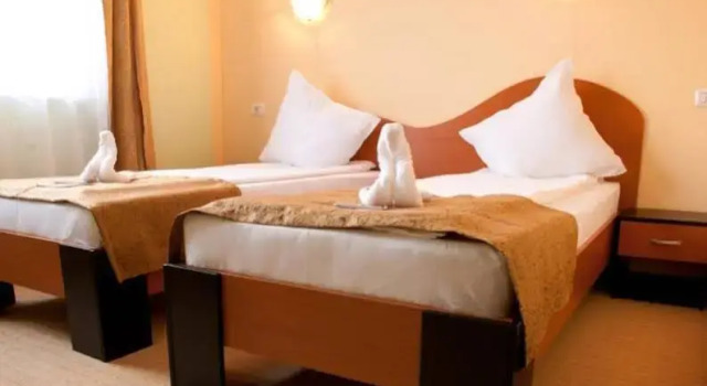 Pensiunea Delia Timișoara, Book Hotel Cheap Hotels in Timiş
