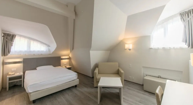Одноместный номер Standard Hôtel Prealpina