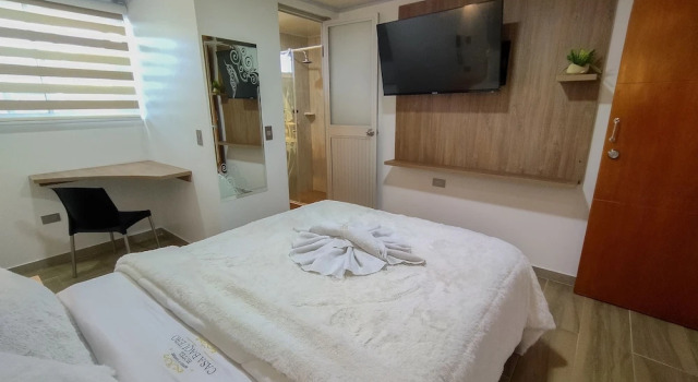 Номер Deluxe Hotel Casa Baquero