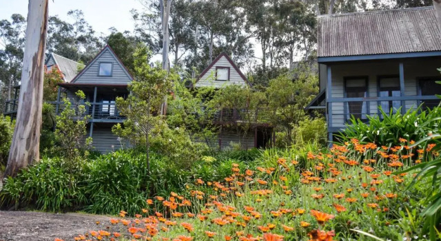 Люкс Deluxe Great Ocean Road Cottages