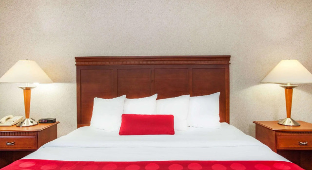 Двухместный номер Standard Ramada Jacksonville South Conference Center