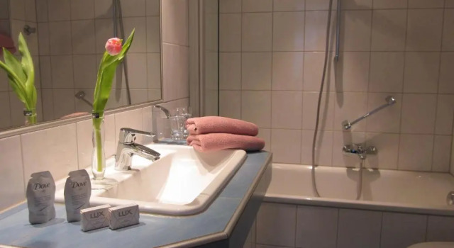 Двухместный номер Standard Hotel Anlage Heidelberg