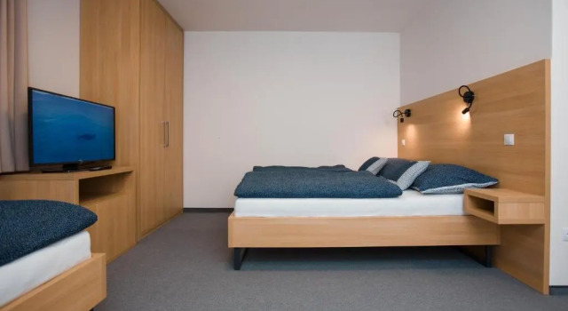 Номер Standard Vila Vivenot