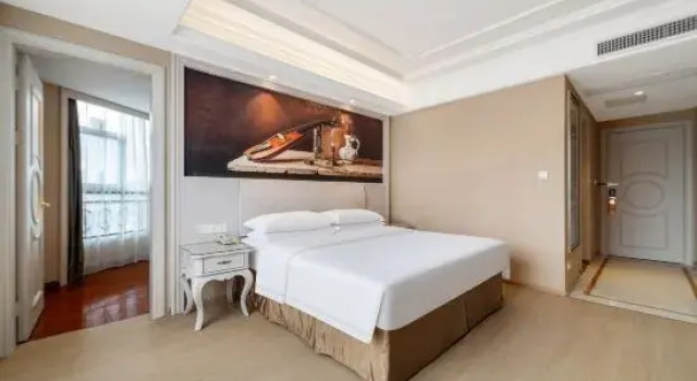 Люкс Business Vienna Hotel Guiyang Airport Road Branch