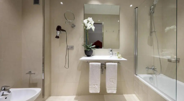 Двухместный номер Standard Eurostars Regina