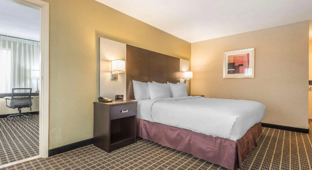 Двухместный люкс Quality Inn & Suites Windsor - Downtown