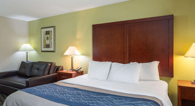 Habitación doble Estándar Comfort Inn Decatur Priceville