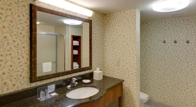 Люкс Hampton Inn & Suites Columbus Polaris