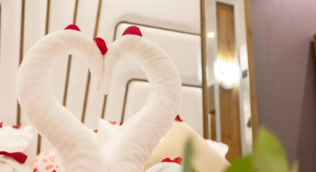 Одноместный люкс c 1 комнатой Dior Inn serviced apartments