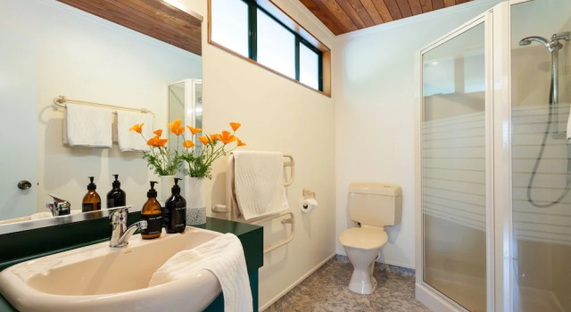 Двухместный номер Premium Buffalo Lodge