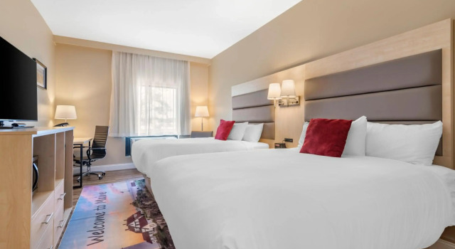 Casco Bay Hotel PMW Airport - Maine Mall, Ascend Hotel Collection, Réserver Hôtel Portland Maine