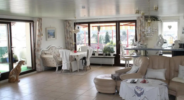 Basel Fair - Amazing Penthouse