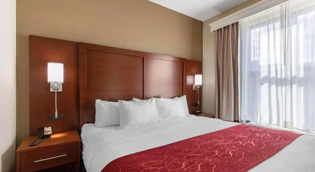 Трёхместный номер Standard Comfort Suites Nashville near Percy Priest Lake