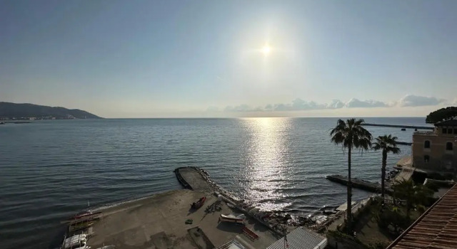 Одноместный номер Standard с видом на море Hotel Golfo e Palme