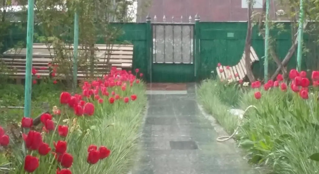 Люкс Emmas Guesthouse in Borjomi
