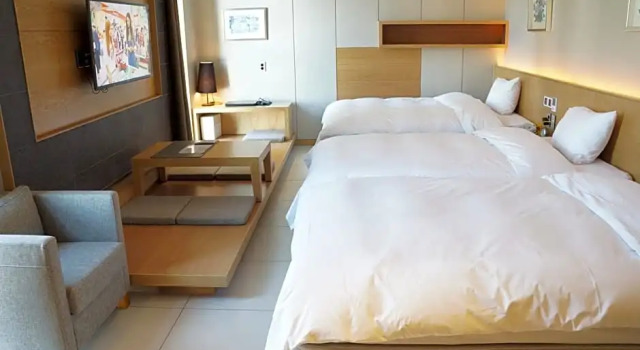 Номер Deluxe Rian Hotel