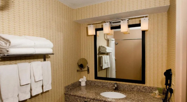 Run of House Holiday Inn St. Louis Airport West Earth City by IHG