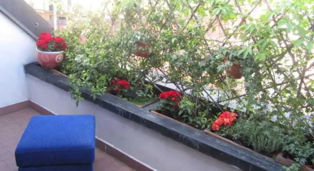 Aparthotel & Residence House Aramis Milano di Giammetta Mr. Luigi