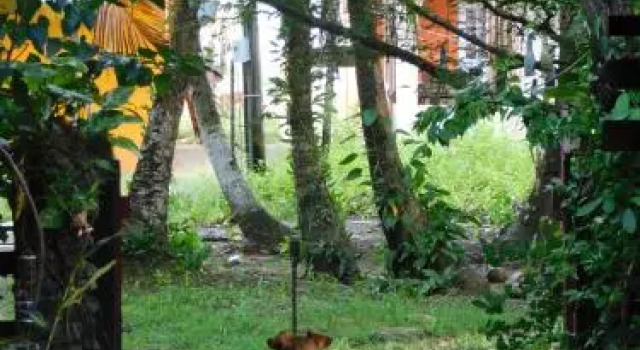 Macondo Hostel, Đặt Nhà trọ Isla Grande Colon